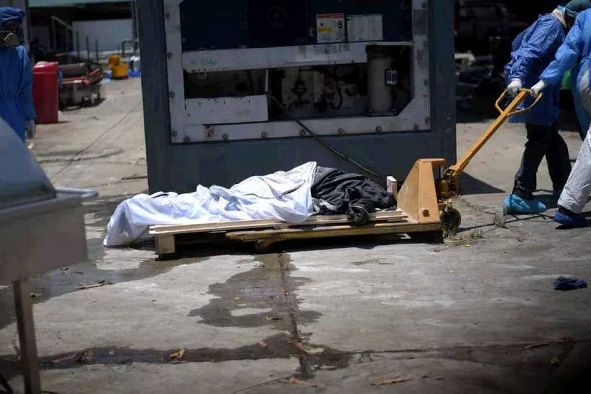 Coronavírus: Setecentos corpos são removidos de casas de Guayaquil, no Equador