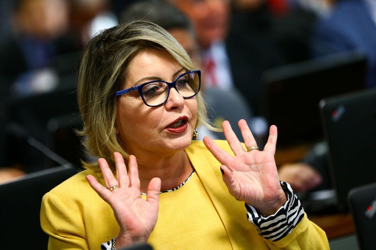 Comissão decide pela declaração da perda de mandato da senadora Juíza Selma Arruda