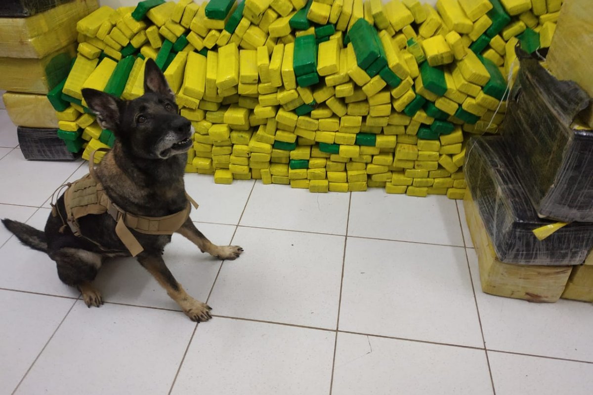 Homem é preso com 1,5 toneladas de maconha em BR-135