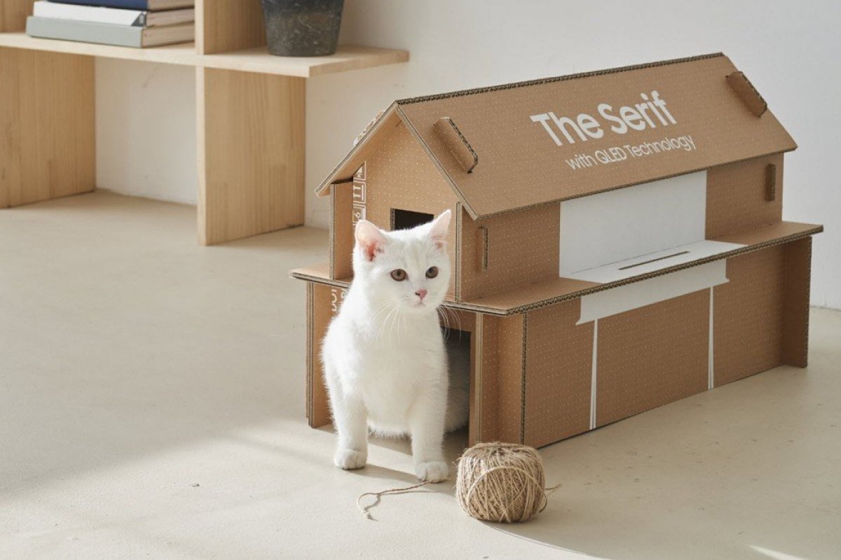 Samsung adapta caixas de televisores para virarem casas para gatos