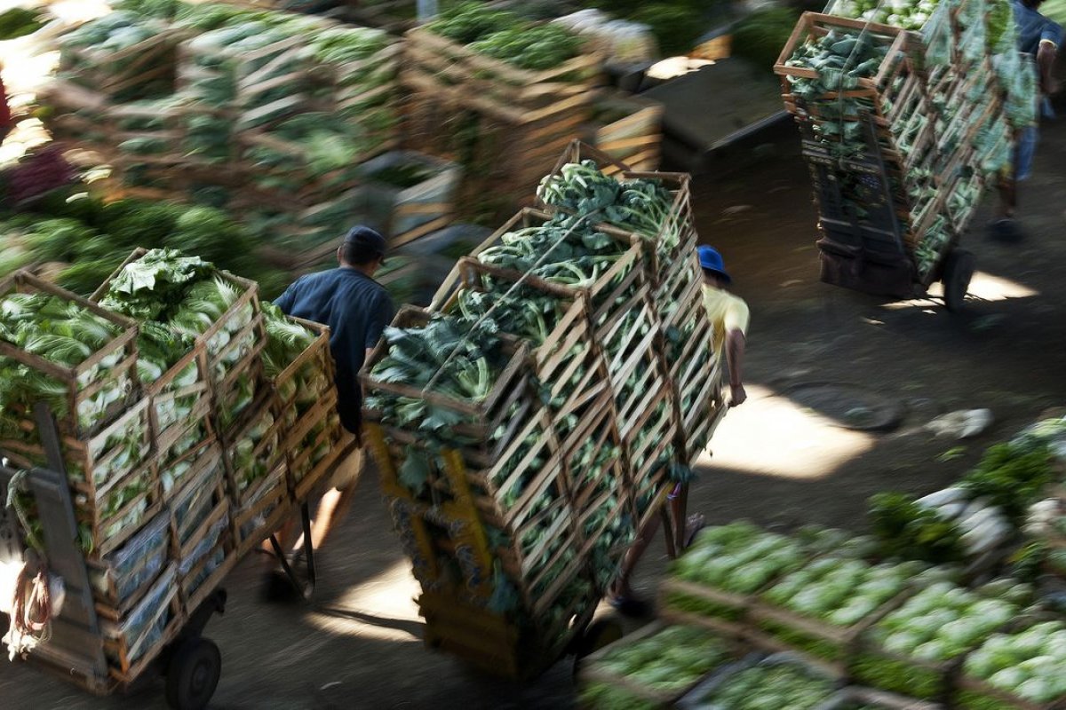 Brasil, UE e mais 20 países se comprometem com abastecimento alimentar
