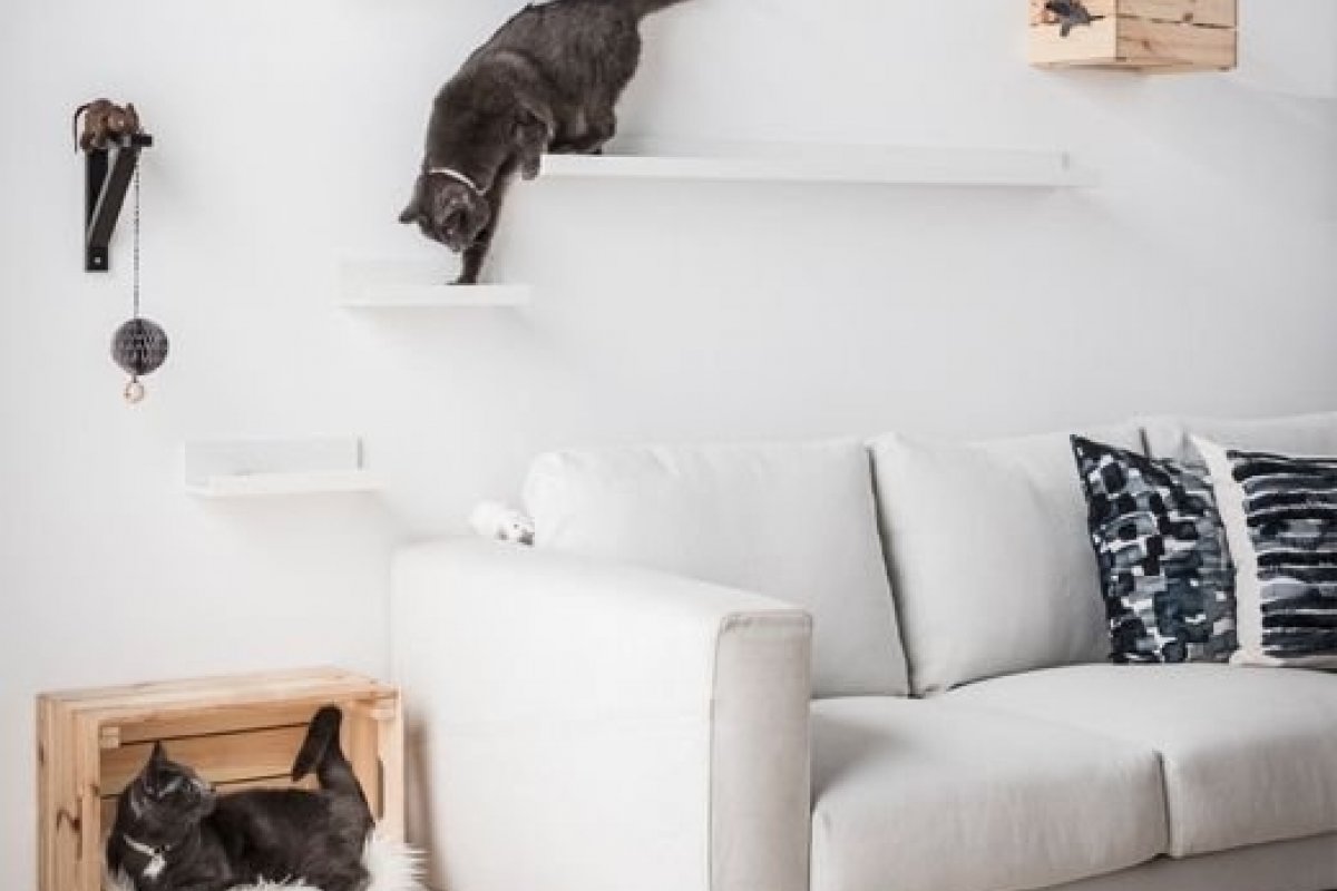 PETS: Inspire-se com acessórios para gatos e cães que também decoram o ambiente