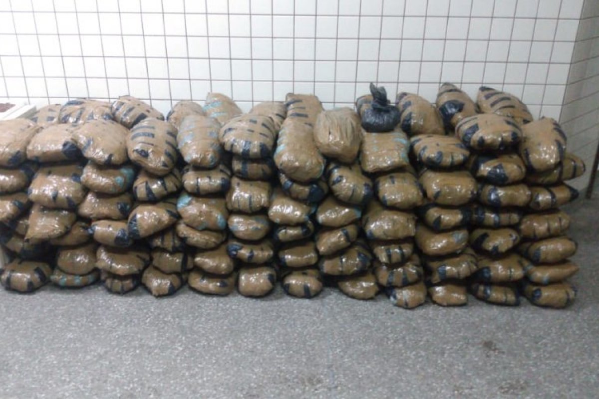Polícia apreende 200kg de maconha em Abrantes
