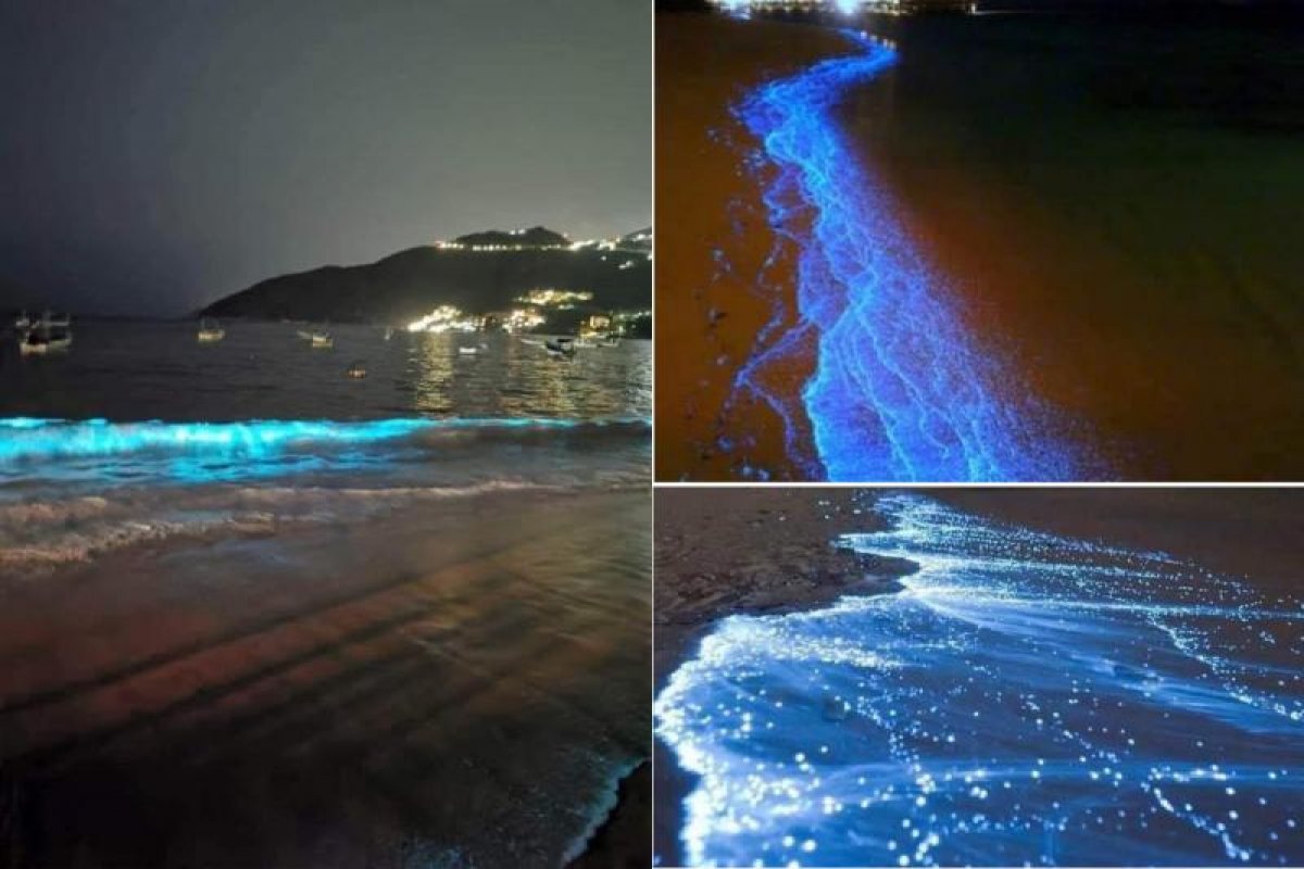 Pela primeira vez em 60 anos, ondas de Acapulco brilham e a web vai à loucura
