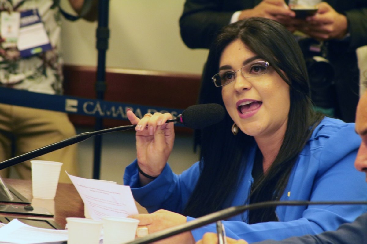 Deputada federal sugere suspensão de bandeira tarifária durante pandemia