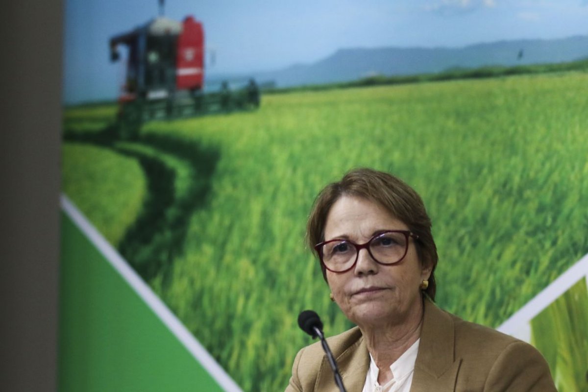 Ministra da Agricultura fala sobre as exportações do Brasil para União Europeia
