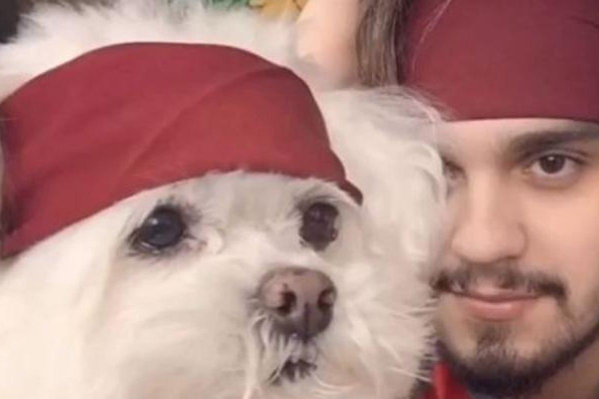 Com declaração emocionante, Luan Santana se despede de seu cachorro