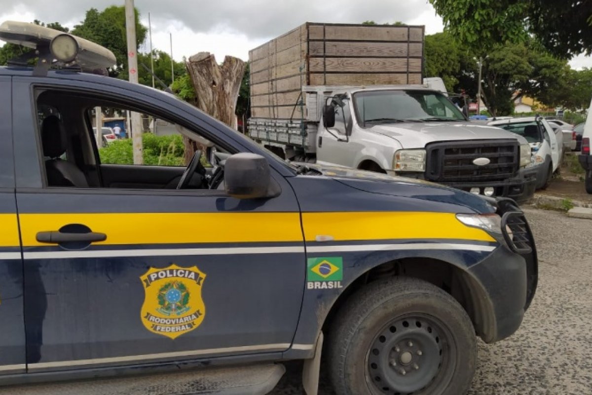 Homem é preso após ser flagrado com veículo adulterado e documentação falsa na BR 116