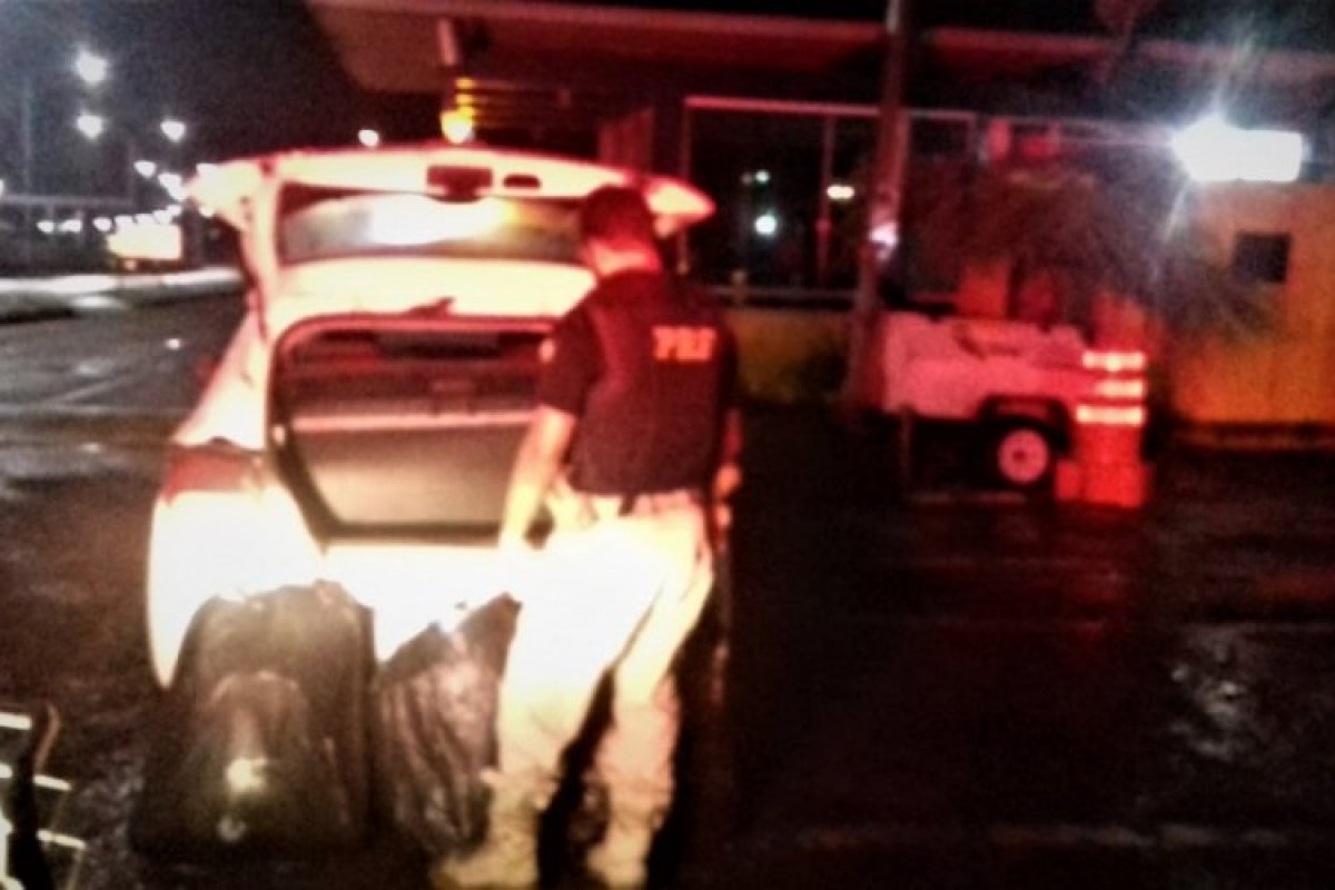 PRF flagra motorista que transportava 48 kg de maconha em Simões Filho