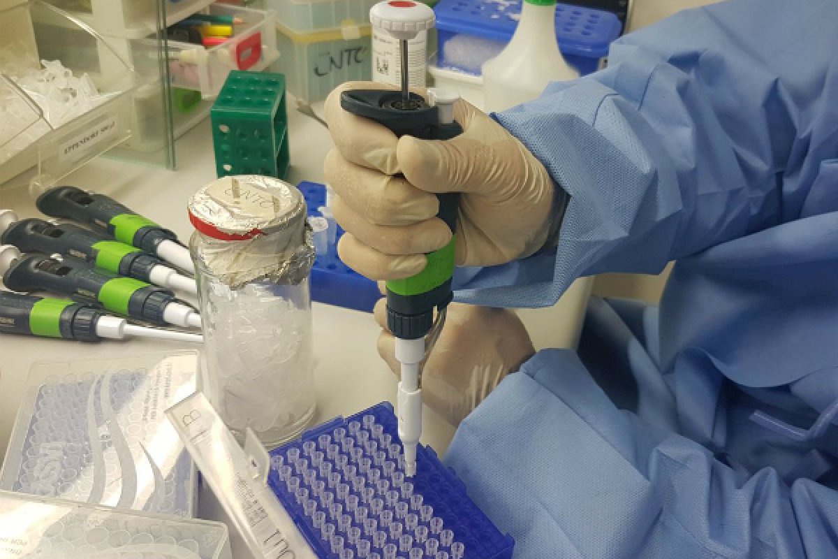 Segunda fase de testes para vacina contra a covid-19 é liberada nos EUA