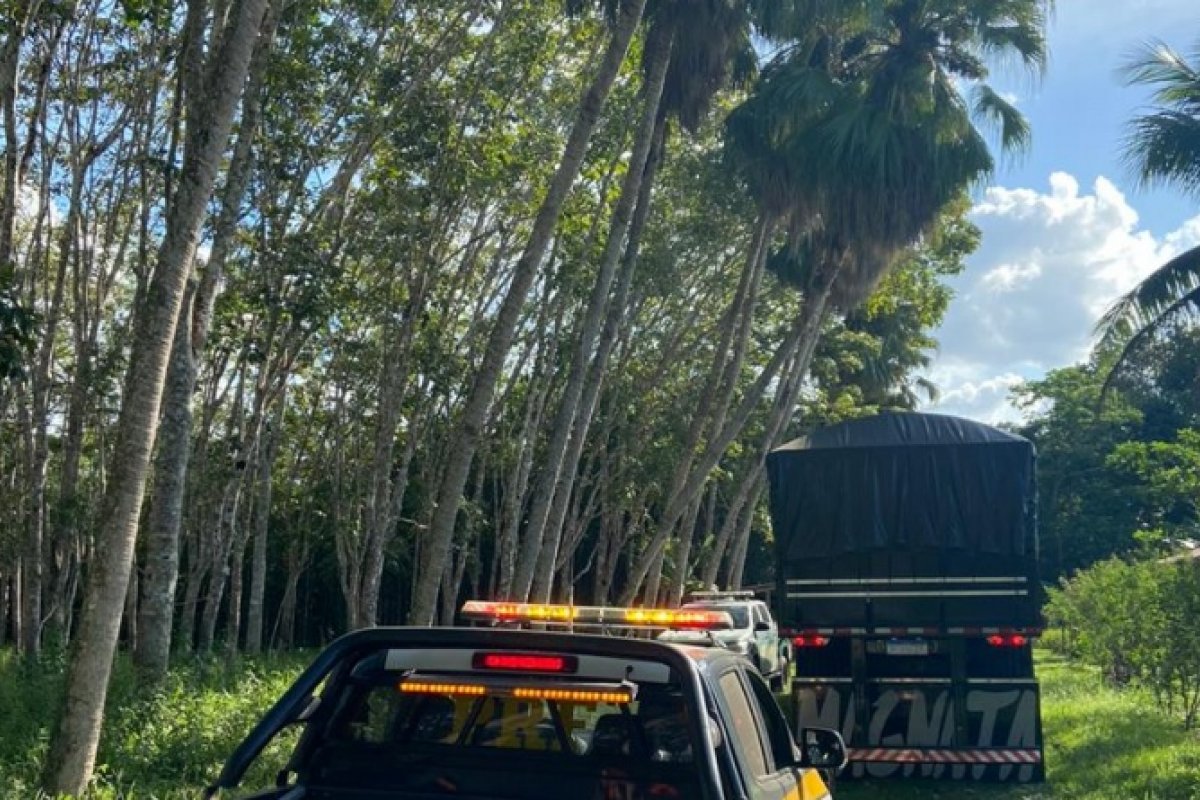 Caminhão com carga de madeira nativa do Pará sem licença ambiental é apreendido em Eunápolis