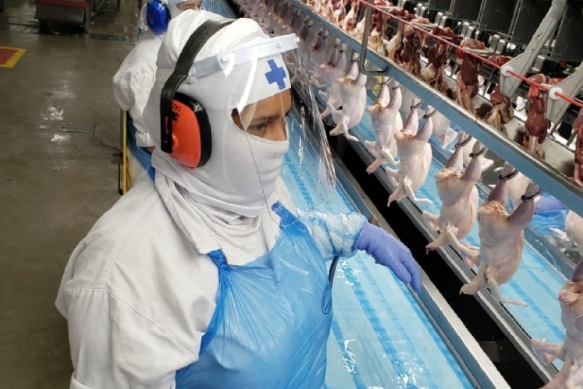 Ministério Público do Trabalho investiga controle da Covid-19 entre funcionários de 61 frigoríficos em 11 estados