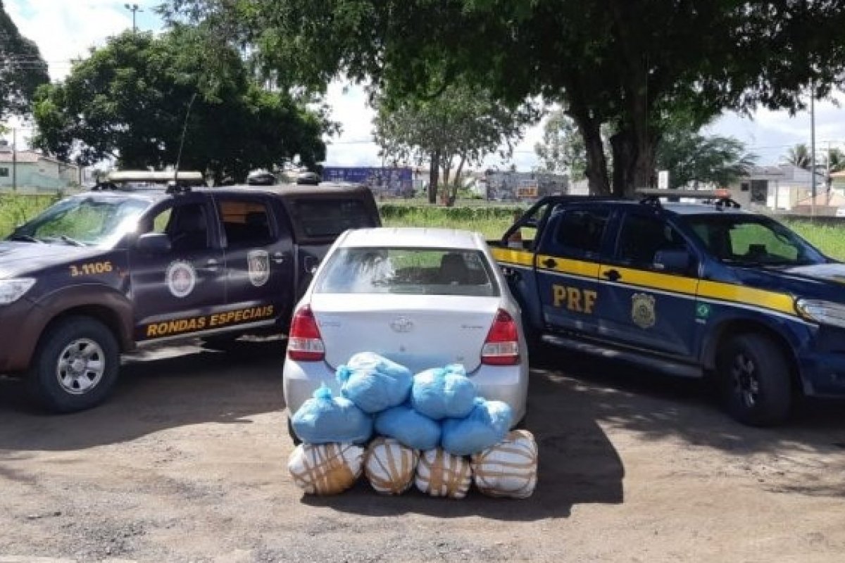 Motorista é preso após transportar cerca de 50 quilos de maconha na BR 116
