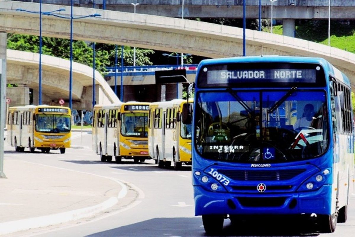 Entenda o imbróglio entre prefeitura, câmara e empresas de ônibus