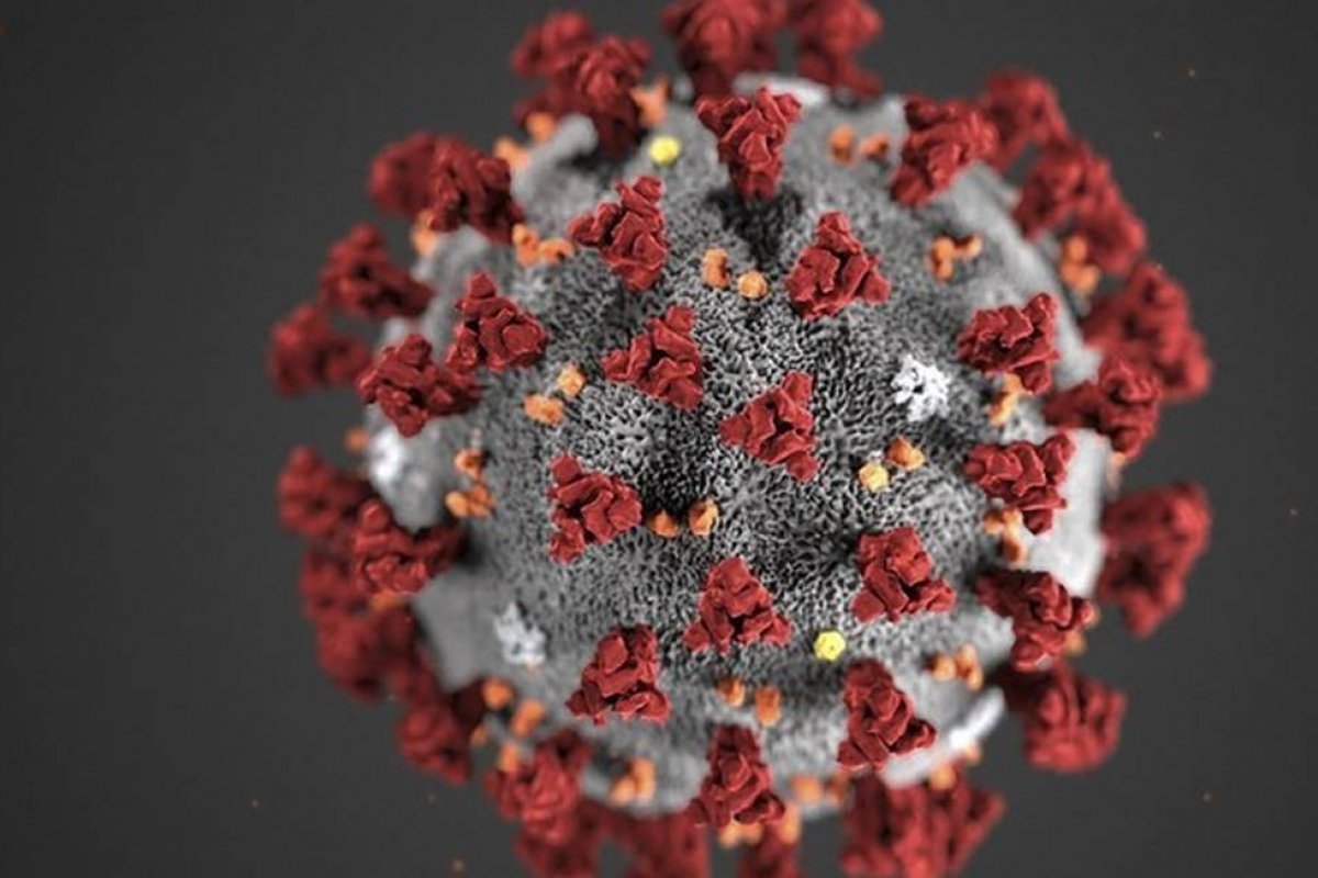 Velório realizado no sul da Bahia descumpre medidas de proteção e termina em confusão