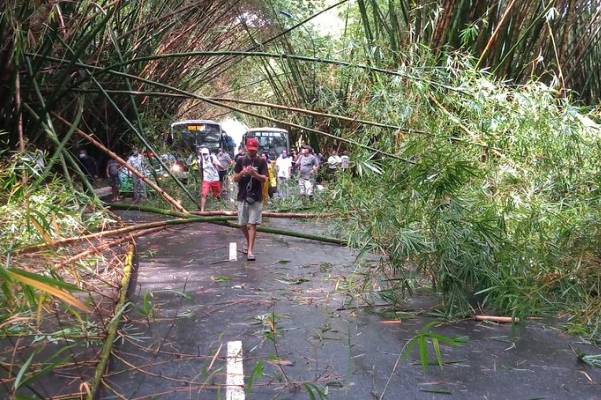 Bambus do aeroporto de Salvador desabam devido a chuva