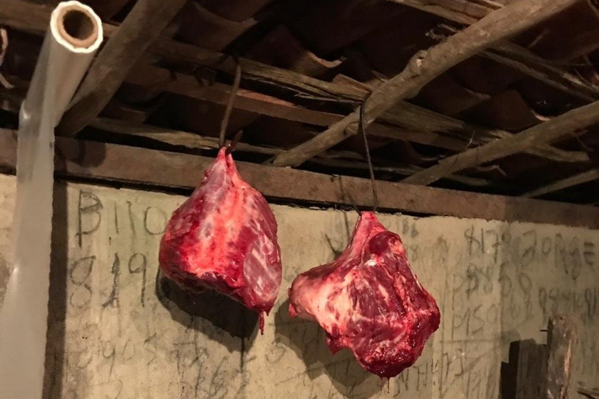 300 quilos de carne ilegal são encontrados em uma fazenda de Salvador