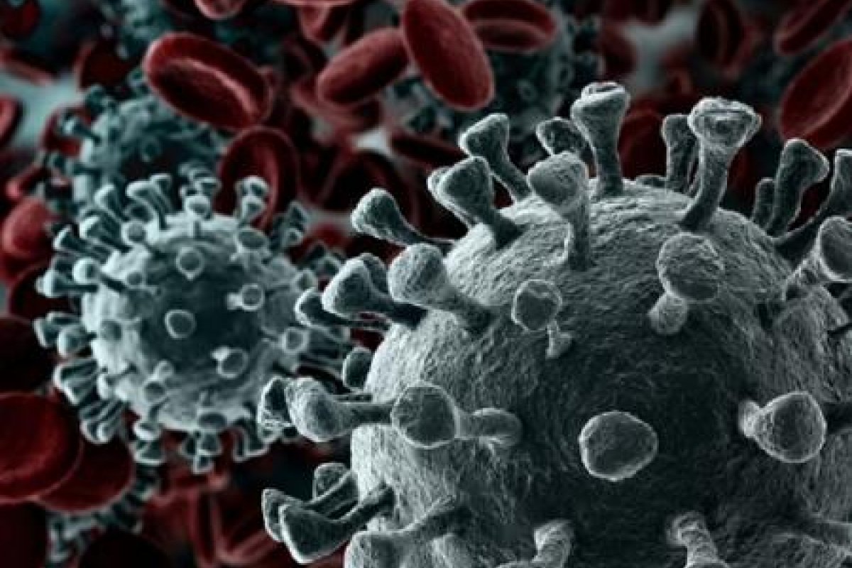 Número de mortes pelo novo coronavírus ultrapassa 300 mil no mundo