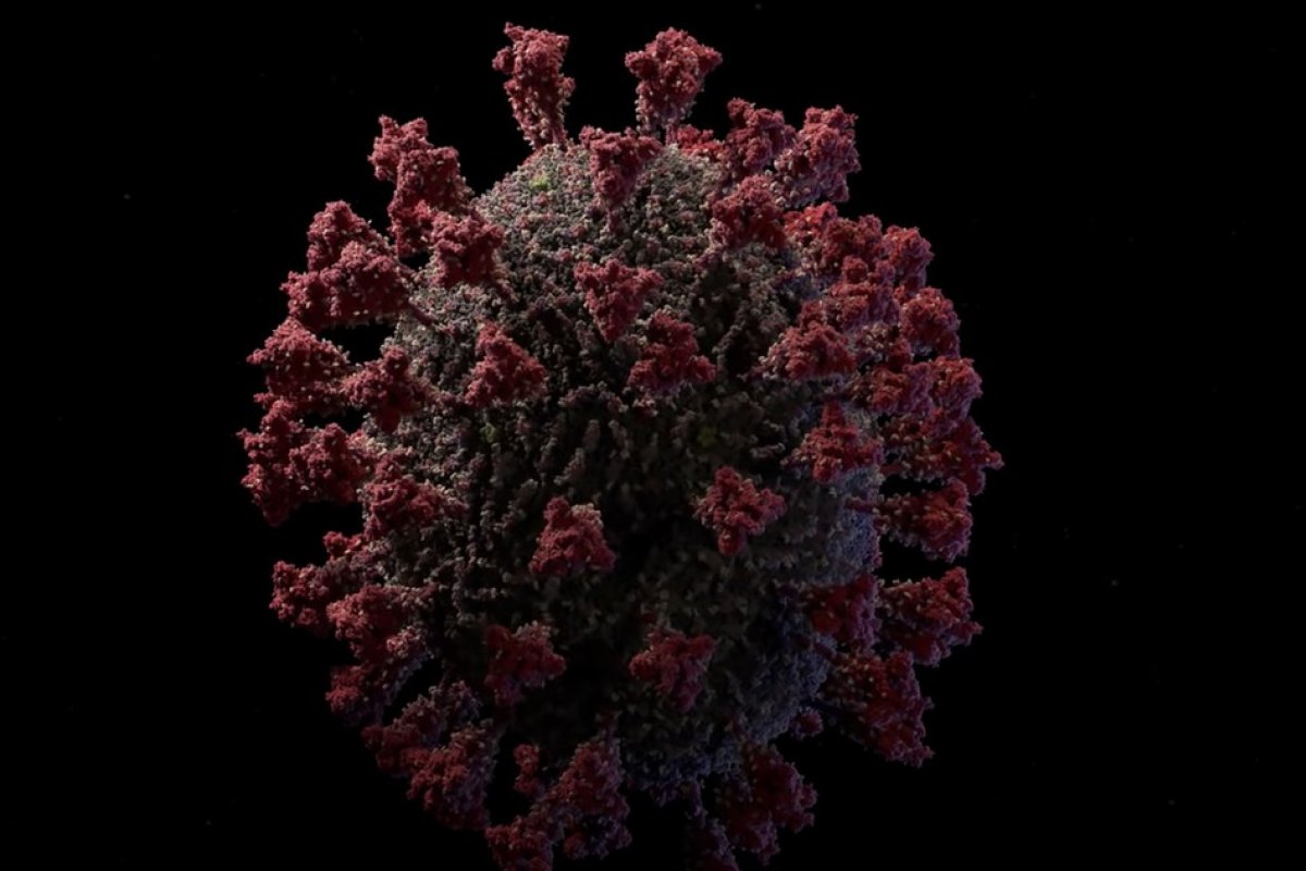 Vídeo: Modelo 3D mais preciso do coronavírus é desenvolvido por cientistas
