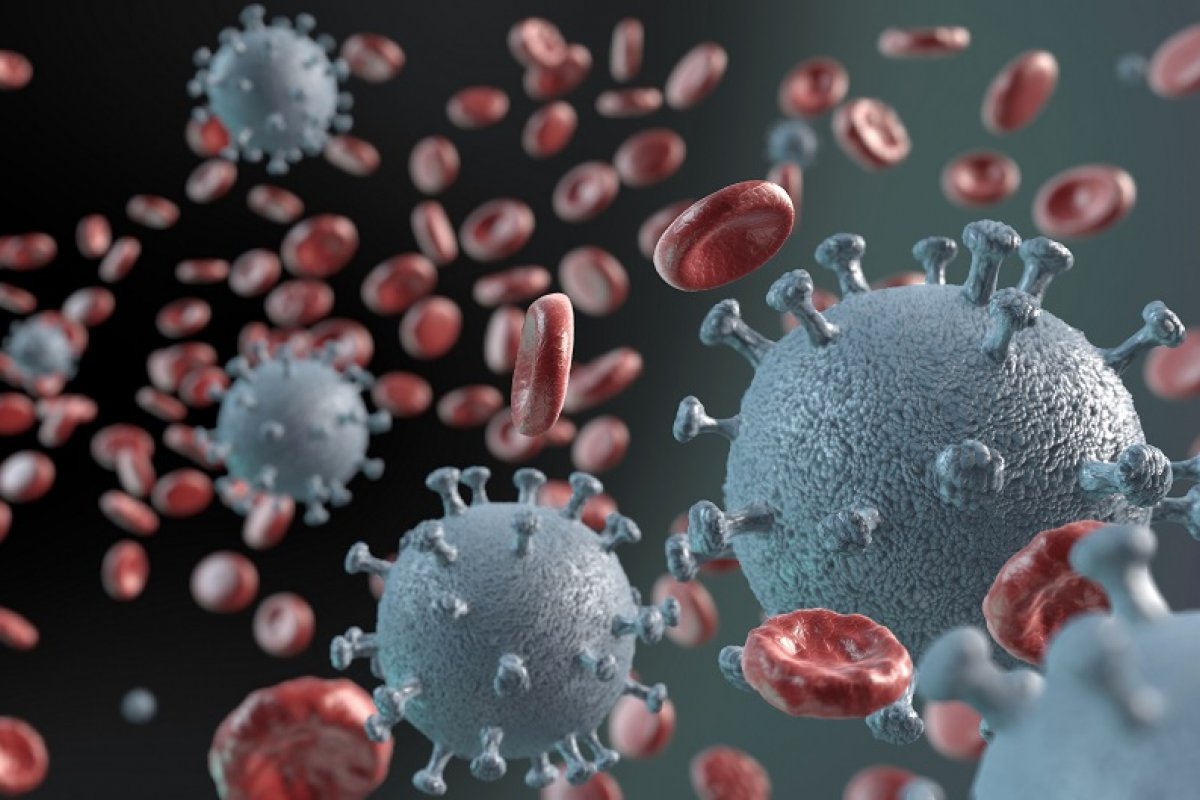 Maioria de infectados pela Covid-19 cria anticorpos, indica estudo