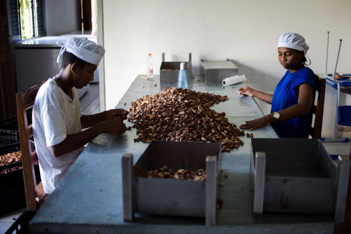Dia do Cooperativismo é celebrado em várias cidades brasileiras