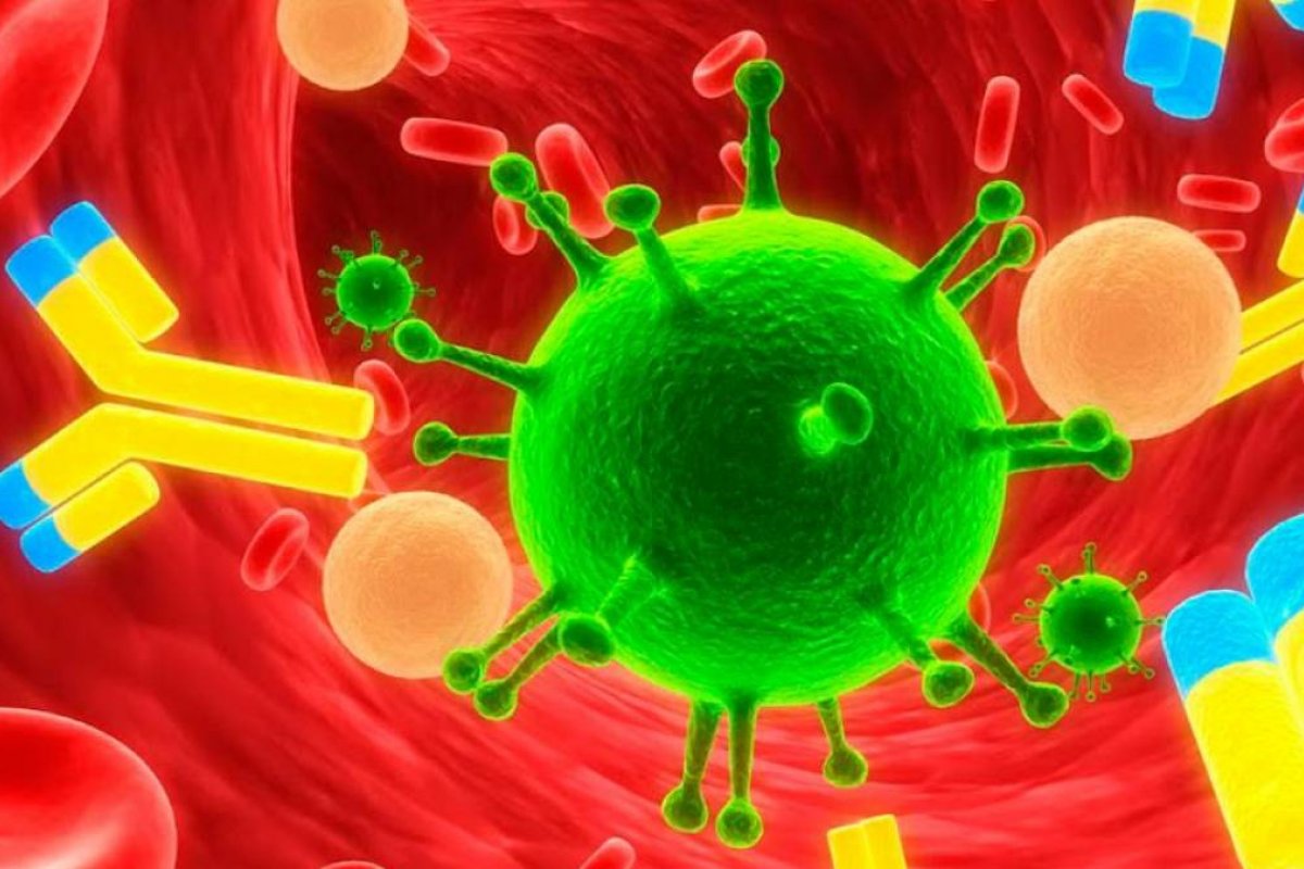 Anticorpos ao coronavírus é detectado em 5% dos moradores de São Paulo, diz estudo