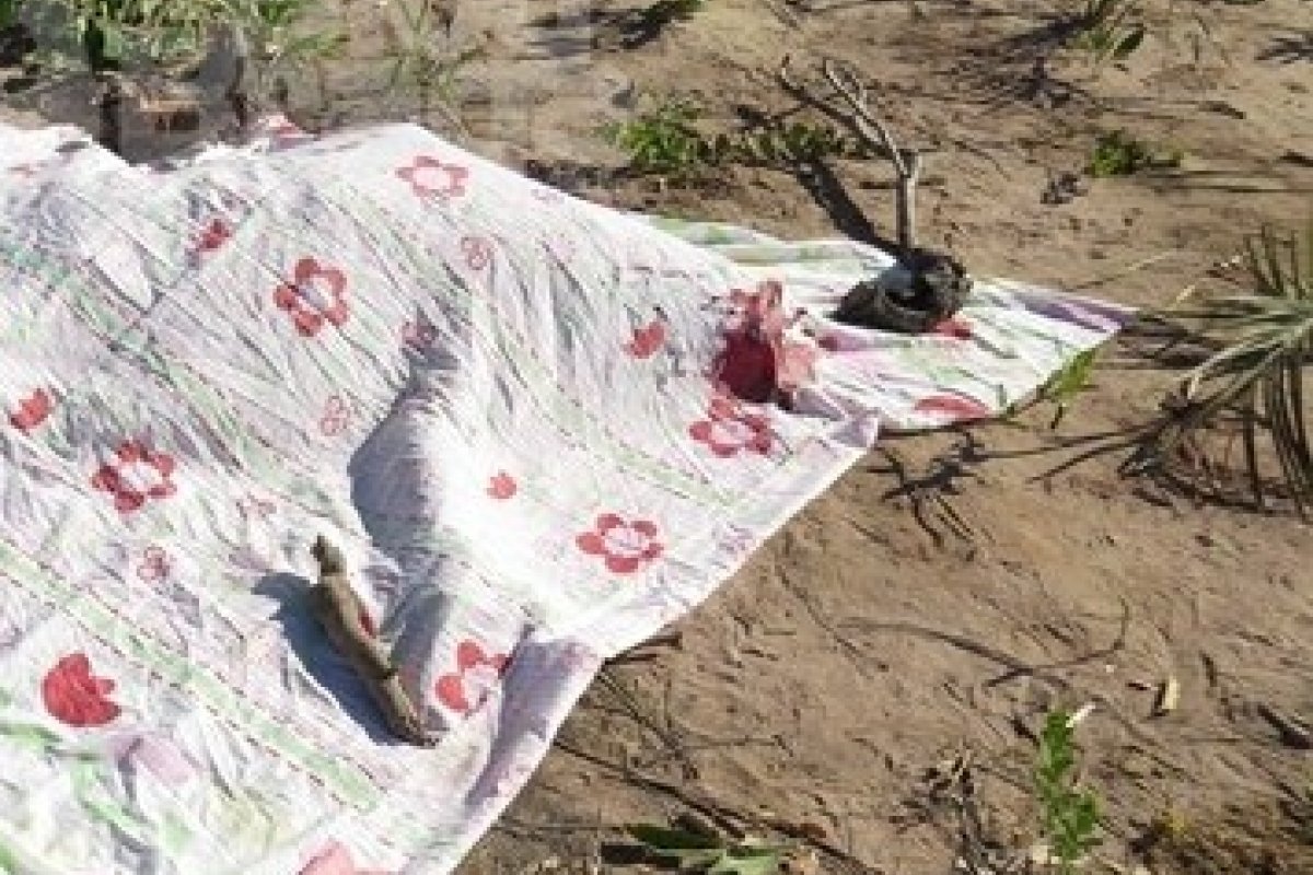 Corpo é encontrado ao lado de escola em Luís Eduardo Magalhães