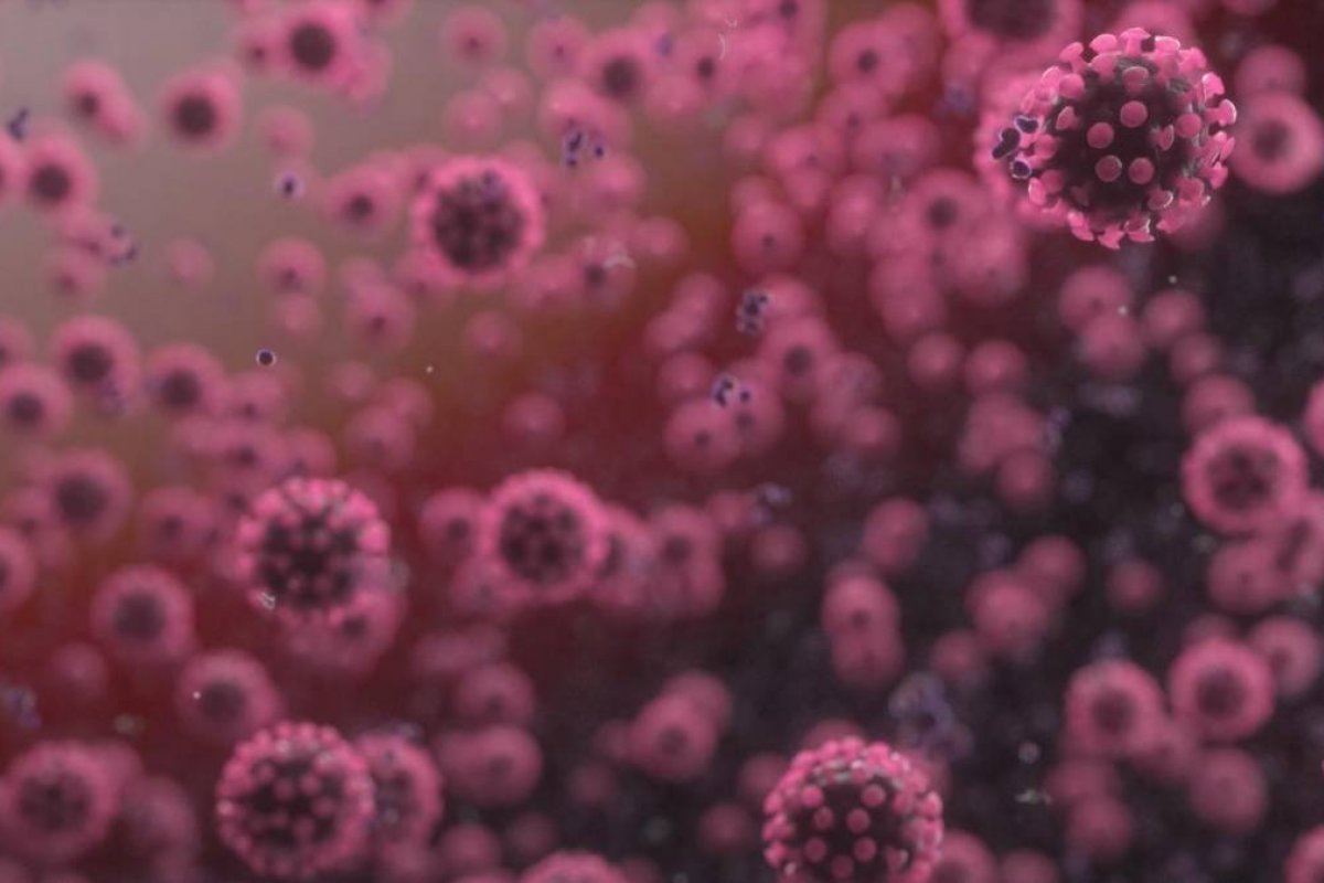 Atualização sobre casos de coronavírus e número de mortes no Brasil