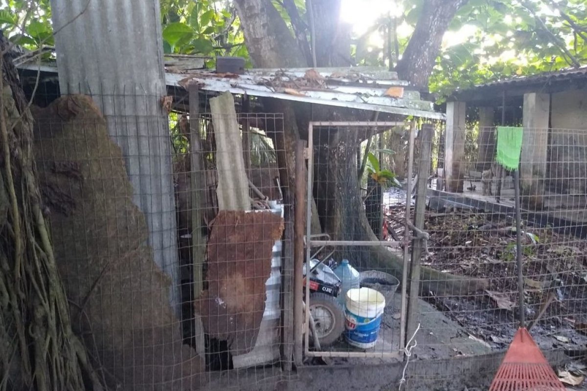 Quase 60 animais são achados em situação de maus tratos em imóvel em Camaçari