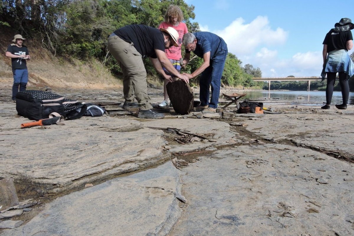 Fósseis de répteis que viveram antes dos dinossauros são encontrados em SC