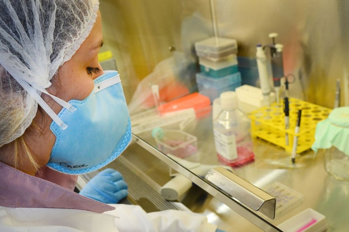 Estudos feitos em macacos mostram que infectados pela covid-19 se tornam imunes após a cura