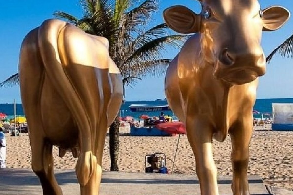 Salvador vai sediar exposição a céu aberto