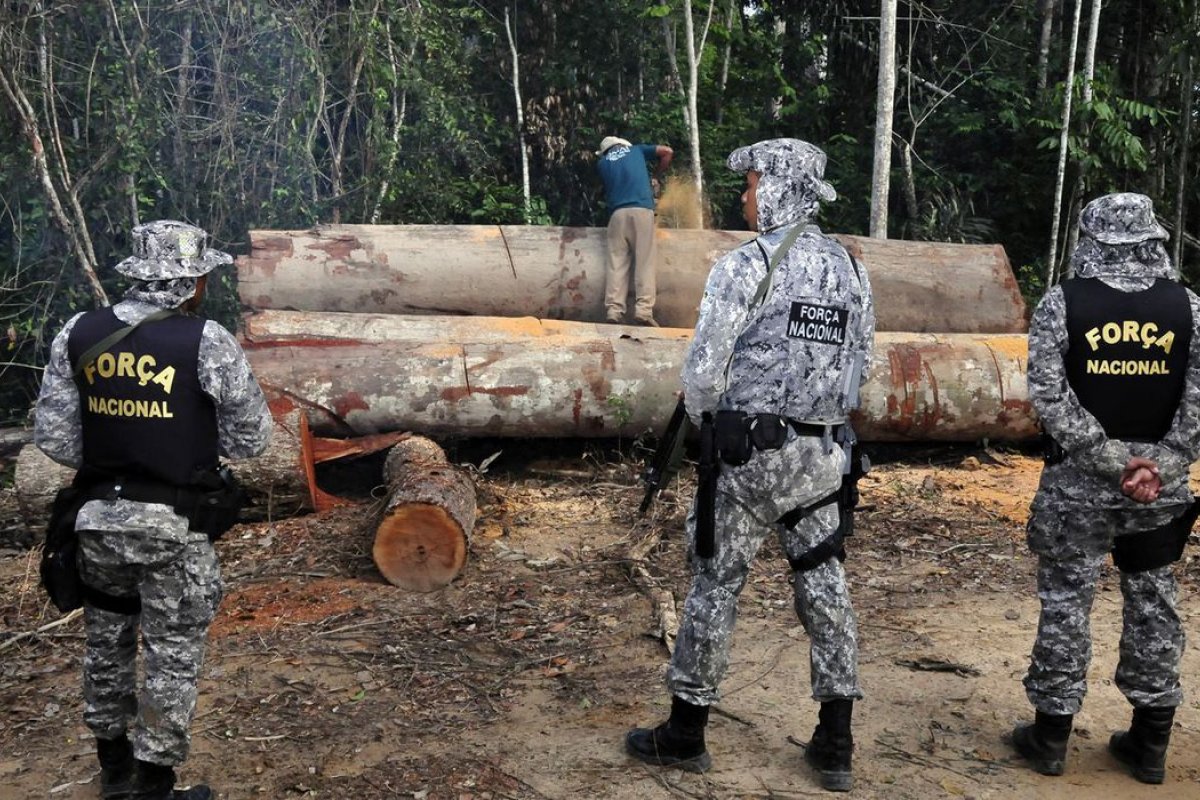 Governo autoriza uso da Força Nacional para combater incêndios da Amazônia