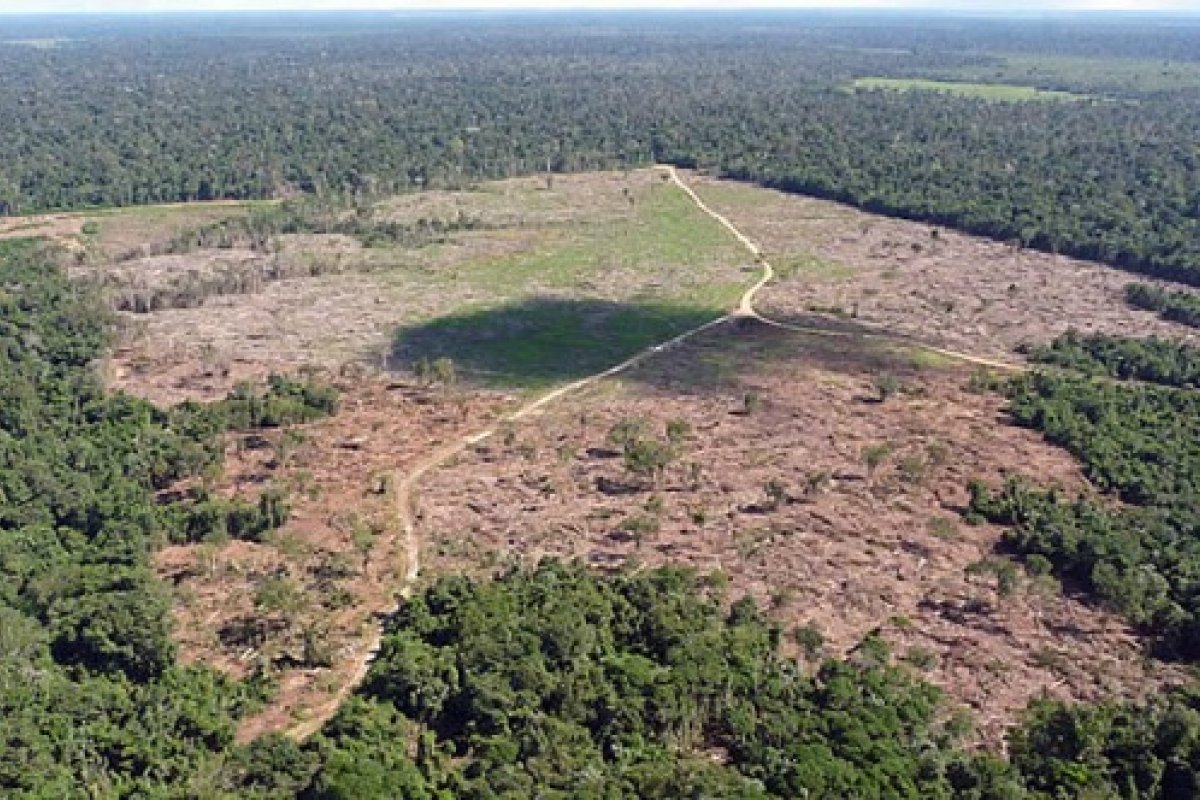 'PL da Grilagem' é alvo de europeus e Brasil pode sofrer retaliação