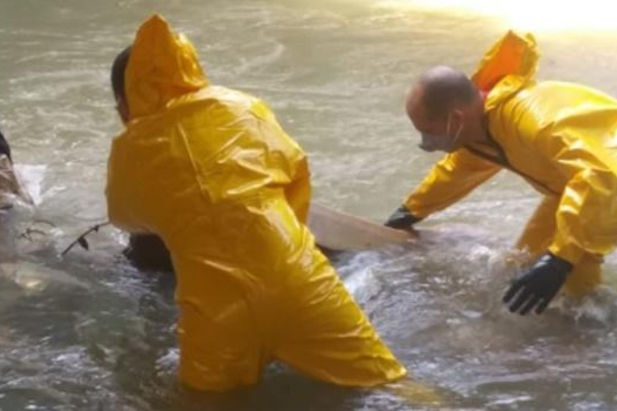 Corpo de jovem que brincava de surfe em um canal é encontrado
