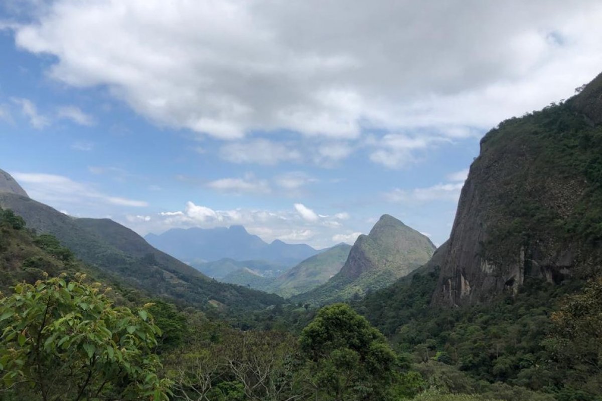 Desmatamento na Mata Atlântica cresceu 27% entre 2018 e 2019, mostra relatório