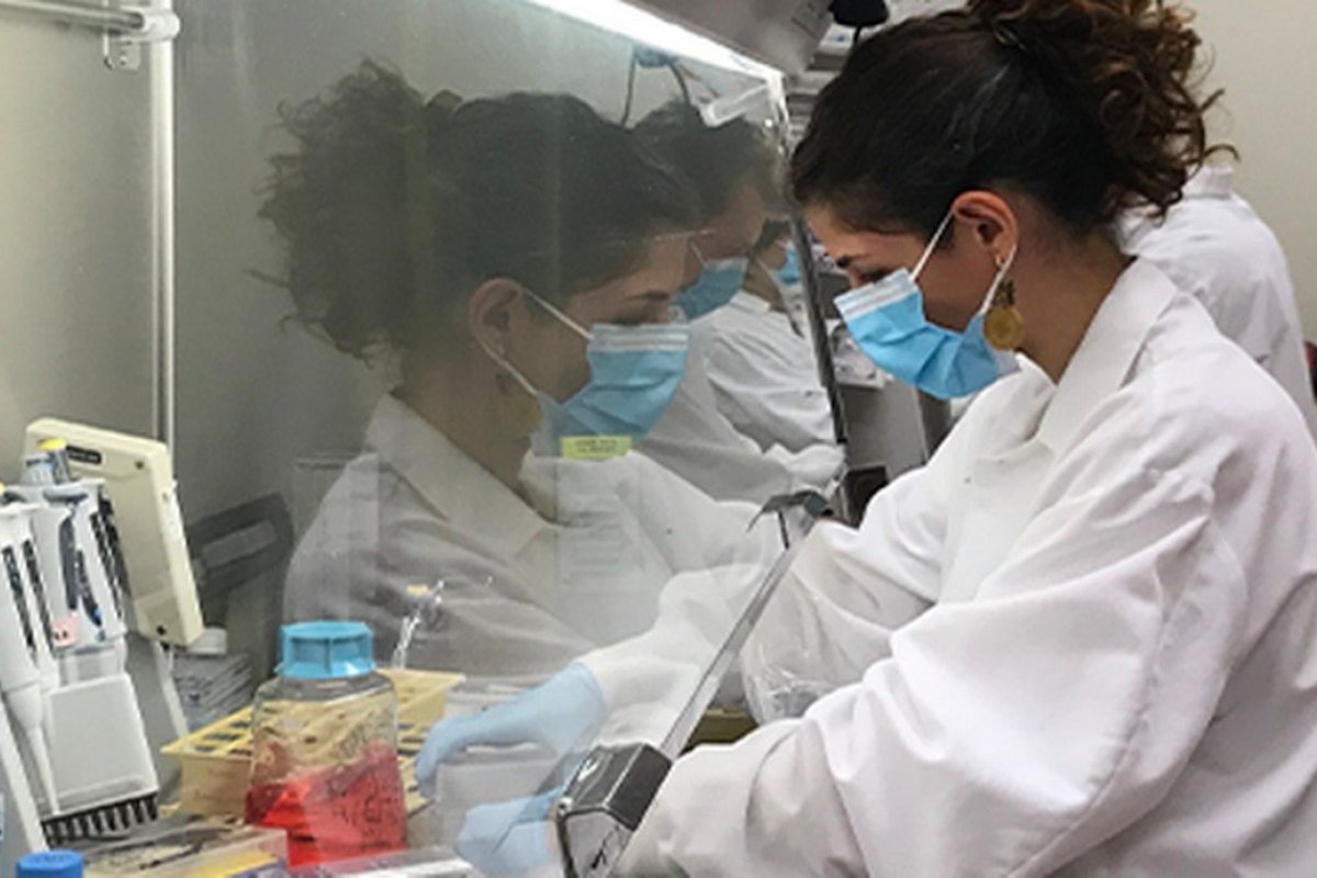 Estudo indica que memória imunológica é peça fundamental na proteção contra a Covid-19