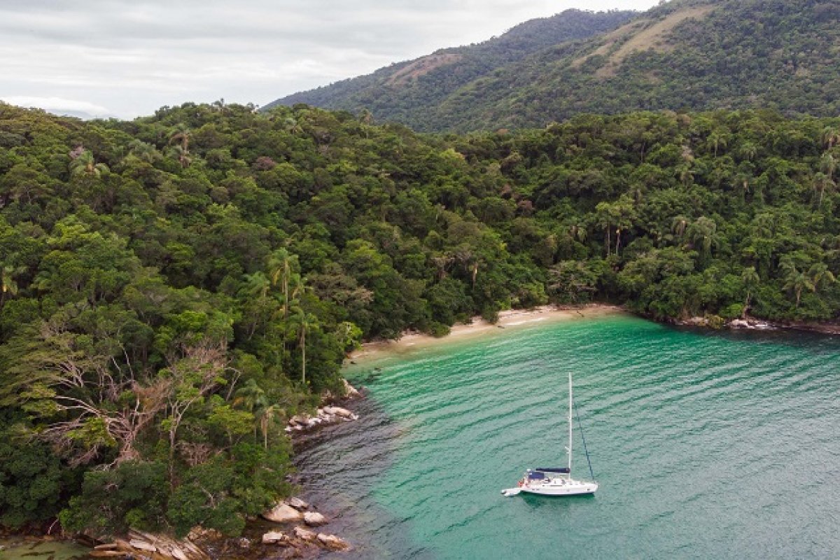Territórios do RJ e SP ganham primeiro título de Patrimônio Mundial Misto do Brasil