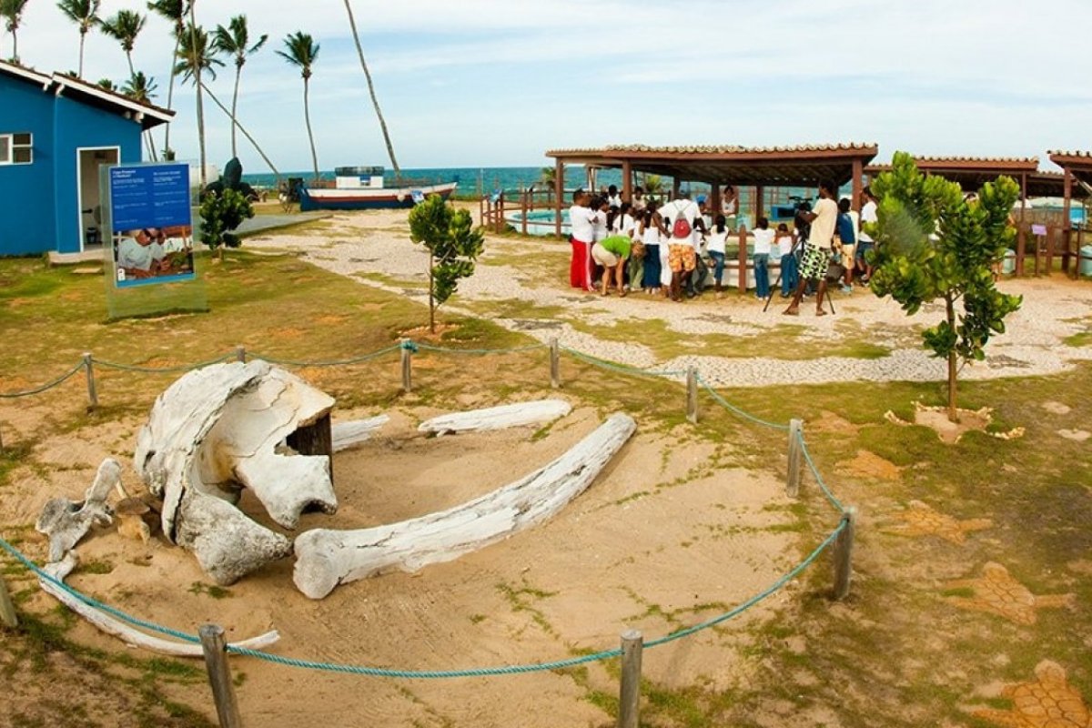 Governo federal decide extinguir base do Centro Tamar de Arembepe