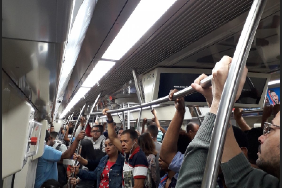 Queda de árvore afeta funcionamento de Linha 1 do Metrô