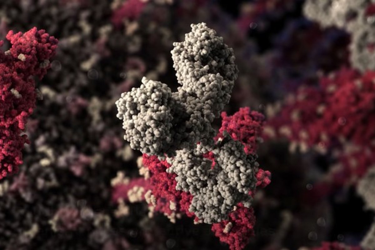 Vacina para Mers e Sars se torna modelo em pesquisa de combate à Covid-19