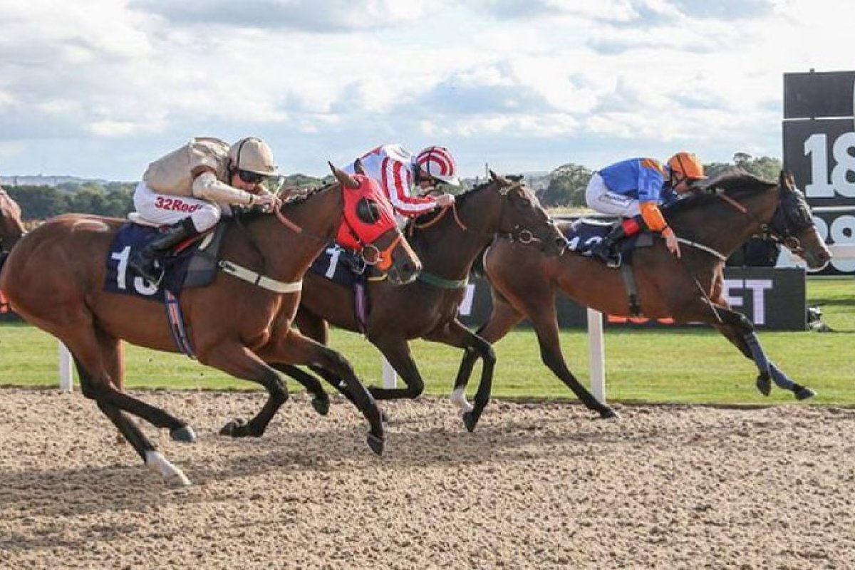 Com medidas rígidas, governo da Inglaterra libera retomada de eventos esportivos no país