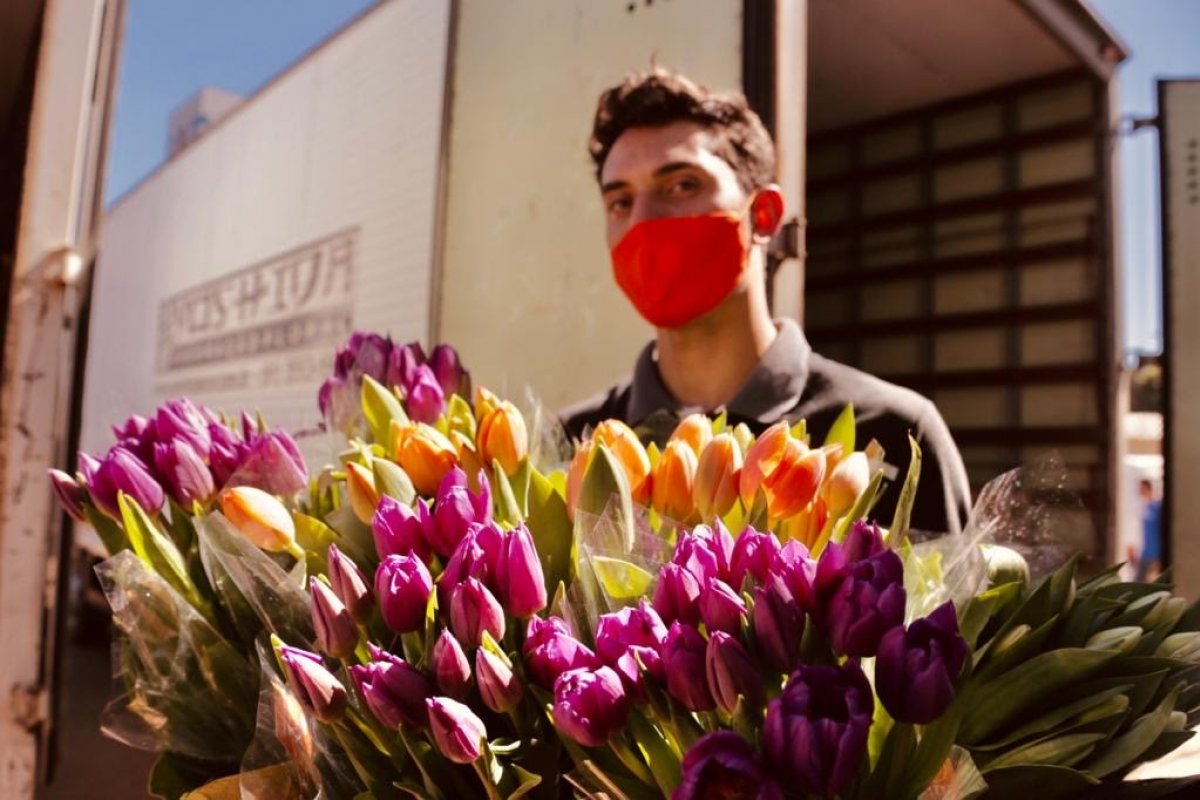Corrente do bem: Embaixada dos Países Baixos oferece tulipas a profissionais da saúde