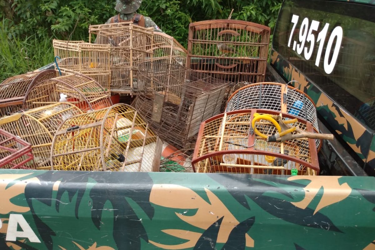 27 animais silvestres e sete armas artesanais são apreendidas em municipios baianos