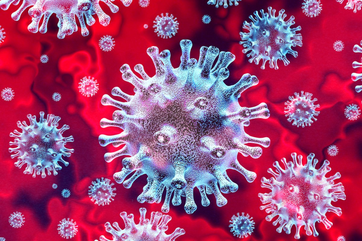 Coronavírus: Brasil registra mais de 558 mil casos confirmados