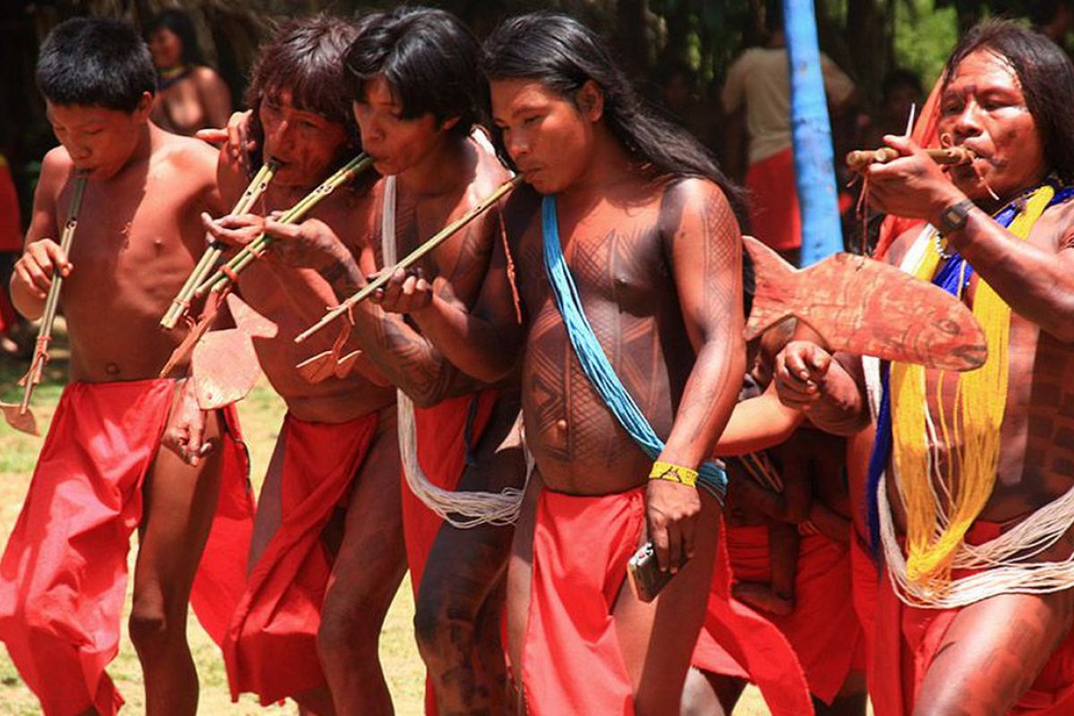Covid-19: presença de garimpeiros nas terras yanomami deve infectar até 40% dos índios, revela estudo