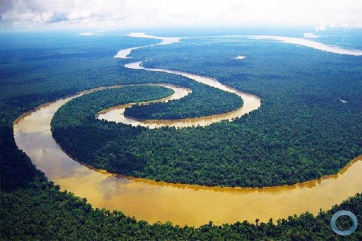 Em bate-papo, físico alerta para outros vírus similares a Covid-19 existentes na Floresta Amazônica