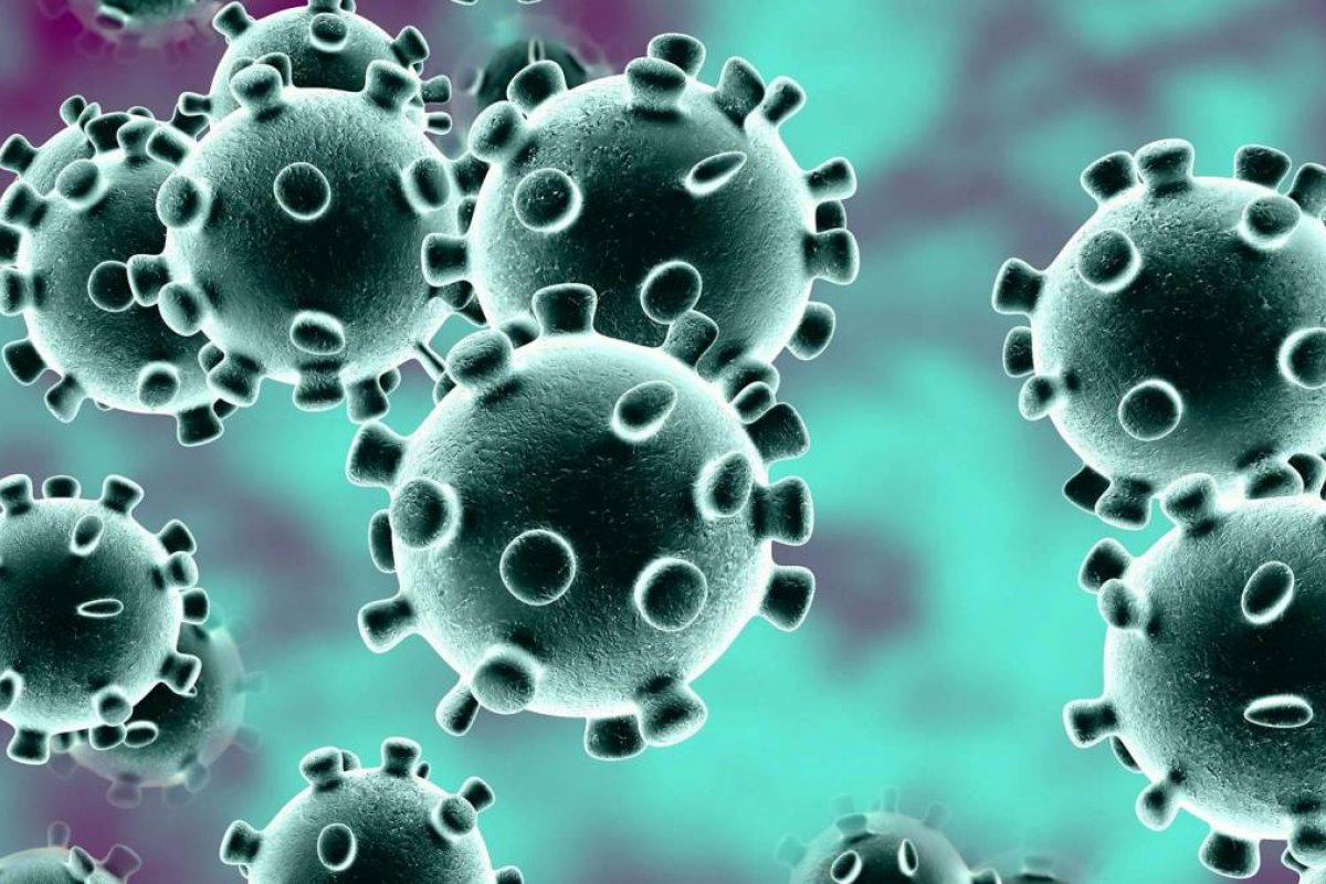 Covid-19: Brasil registra mais de 610 mil casos e 34 mil vitimas