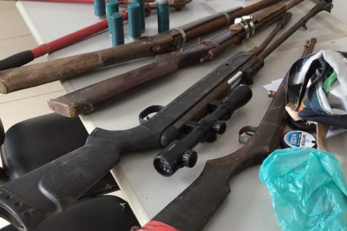Sete armas de fogo são apreendidas em três ações no interior