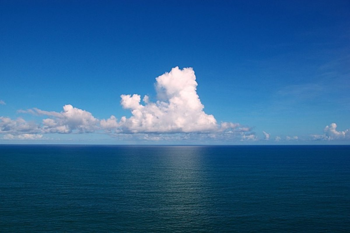 Promovida pela ONU, Década dos Oceanos começa nesta segunda-feira (8)